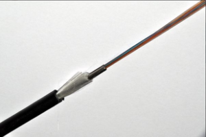 Cảm biến đo nhiệt độ DiTemp Budget Temperature Sensing Cable – Roctest.Canada